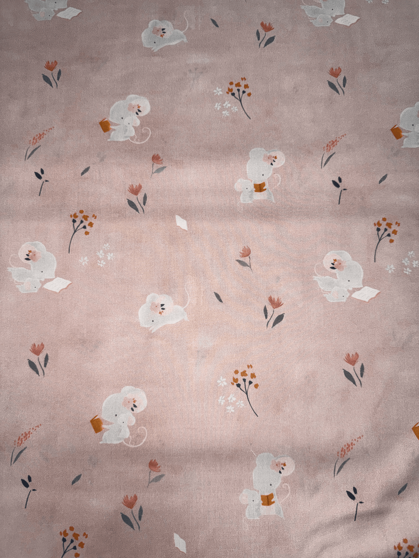 TELA LITTLE RAT AND FRIENDS