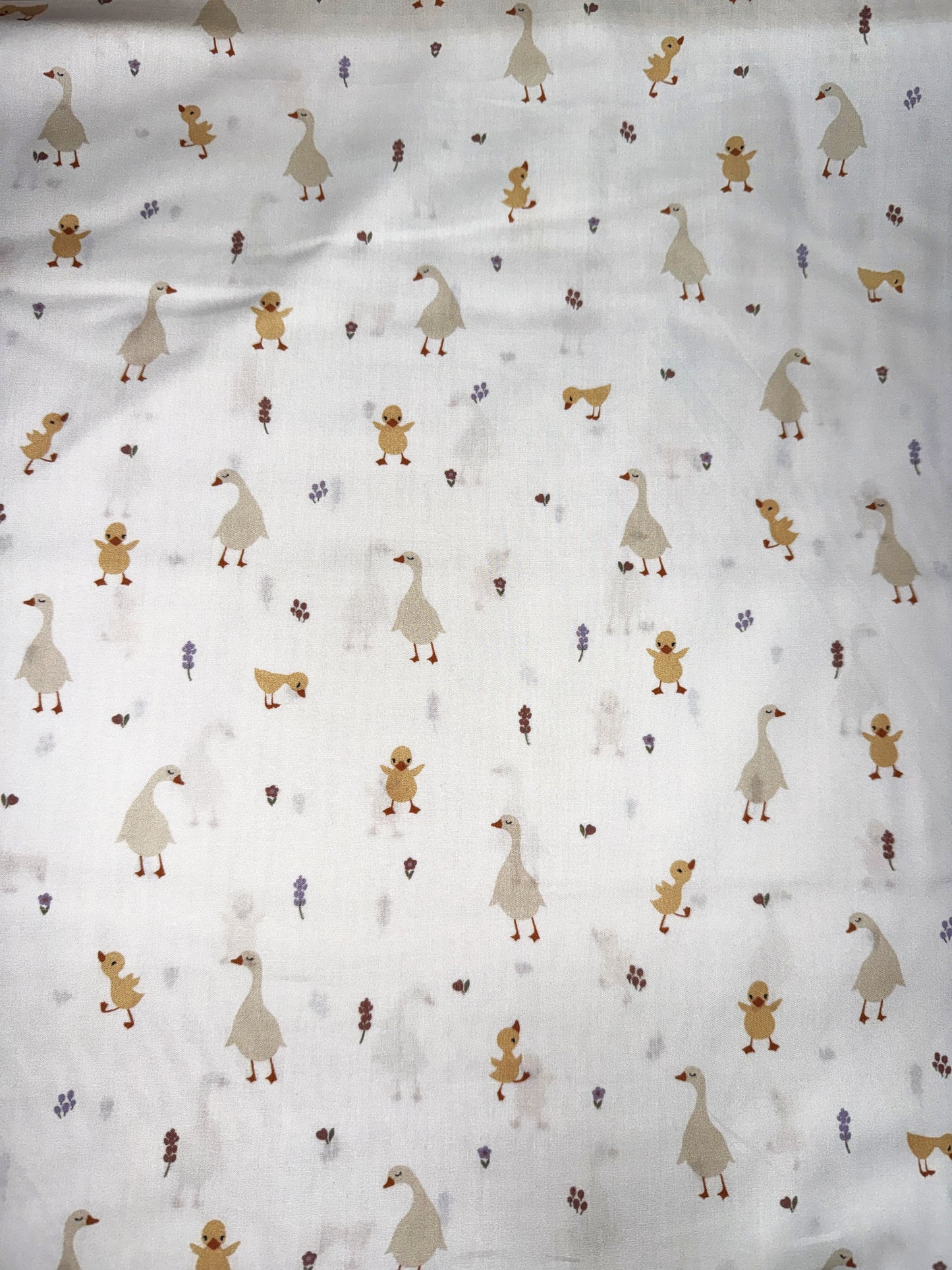 TELAS OCAS Y POLLITOS PVP