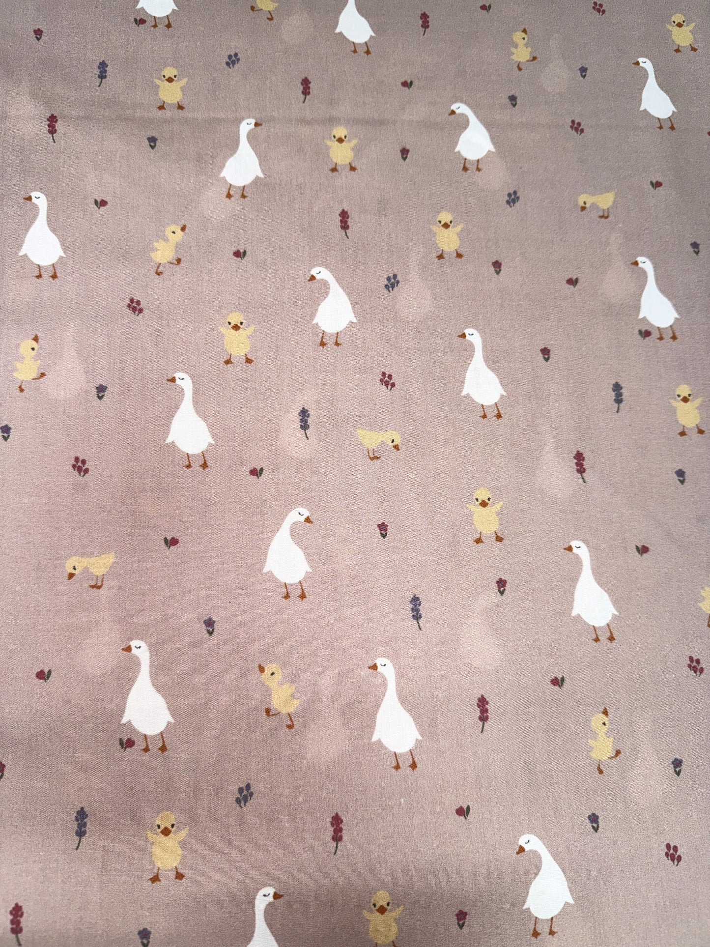 TELAS OCAS Y POLLITOS PVP