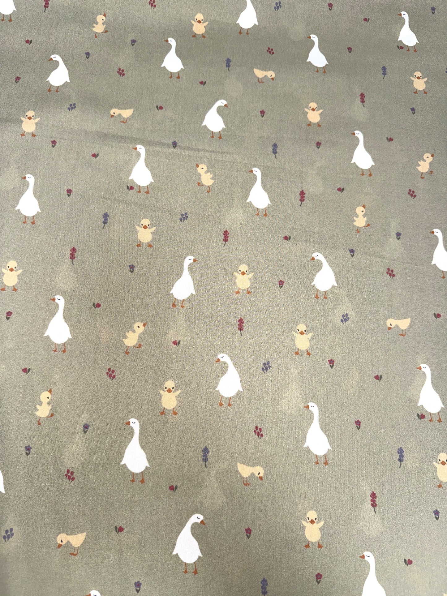 TELAS OCAS Y POLLITOS PVP