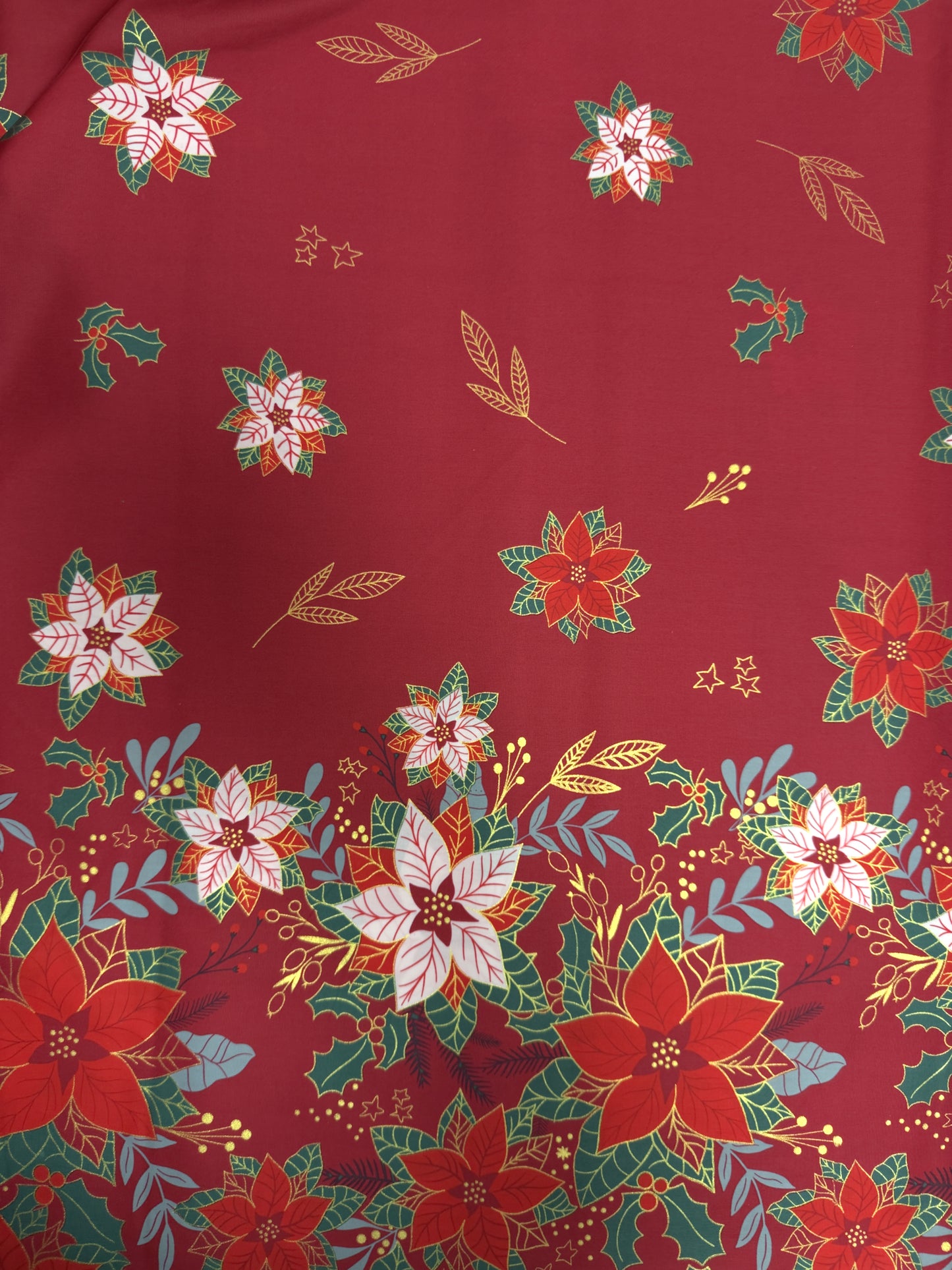 TELA POINSENTIA PLACED