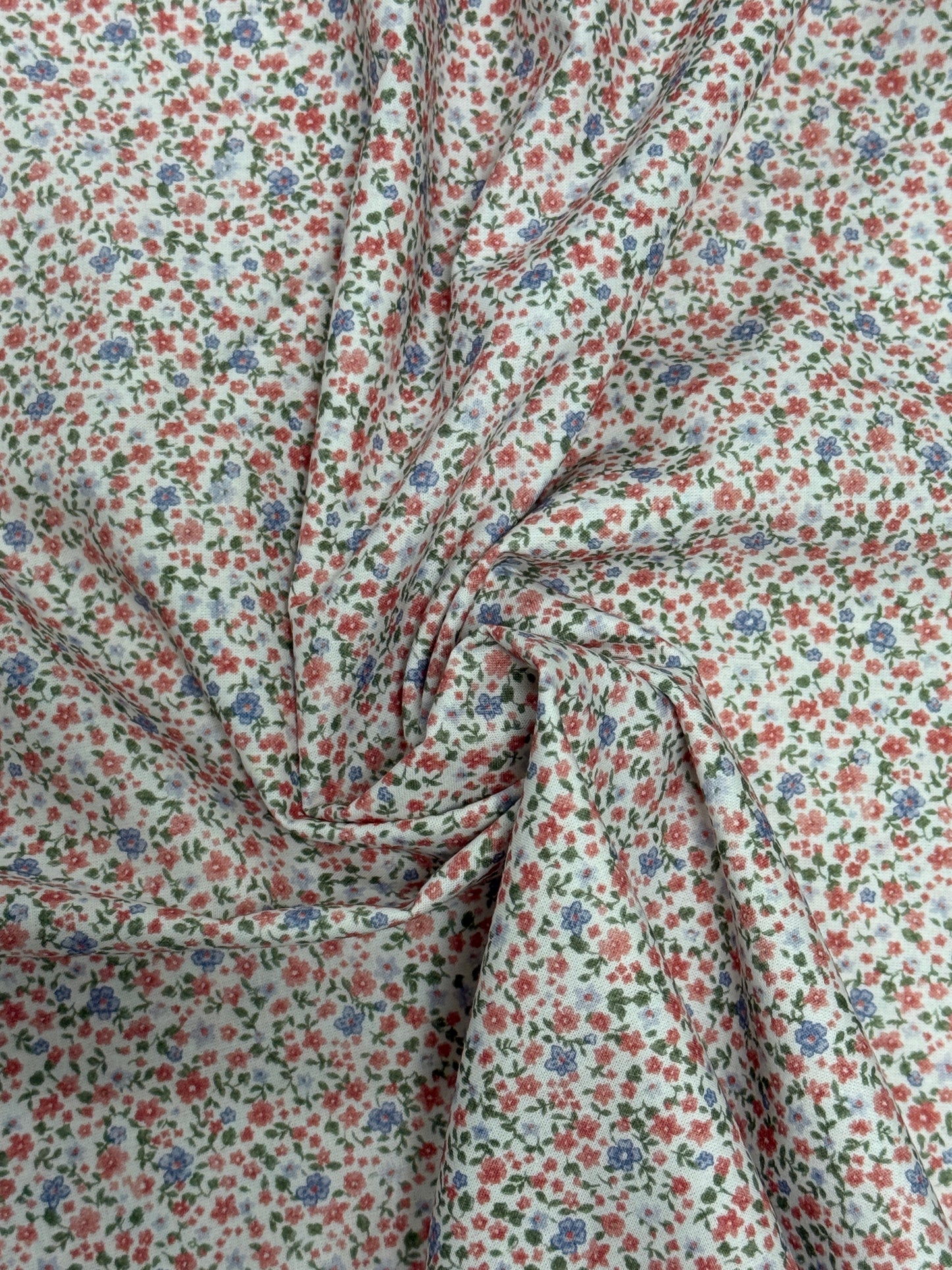 TELA MOLI 12